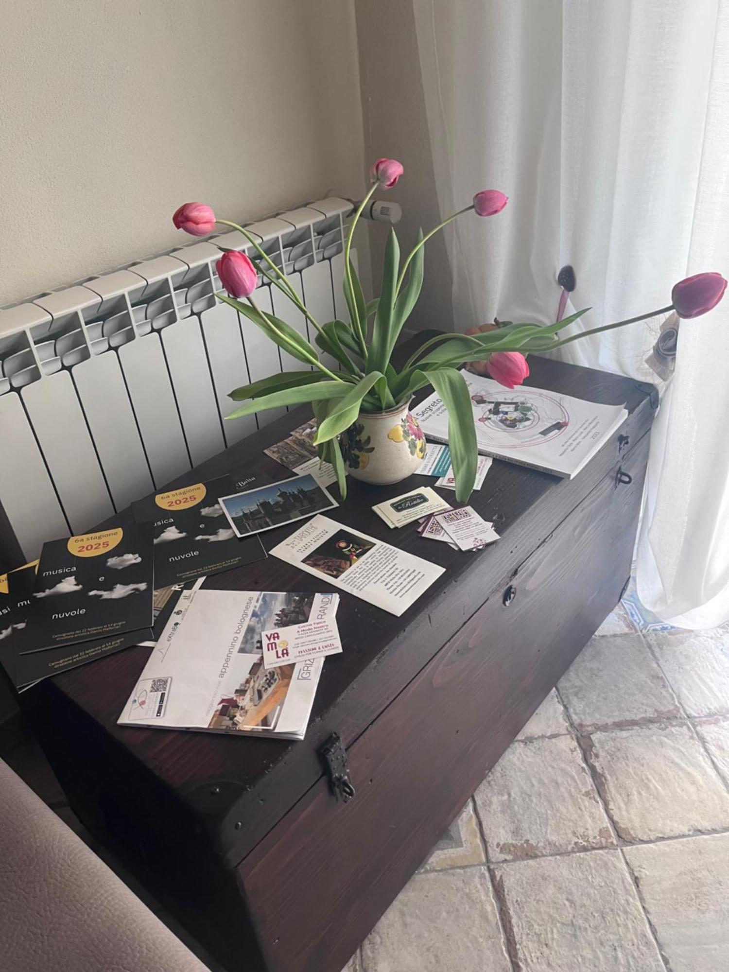 B&B Camelia Camugnano المظهر الخارجي الصورة